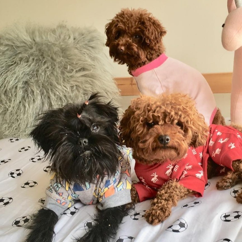 Meet your Posher, Nida